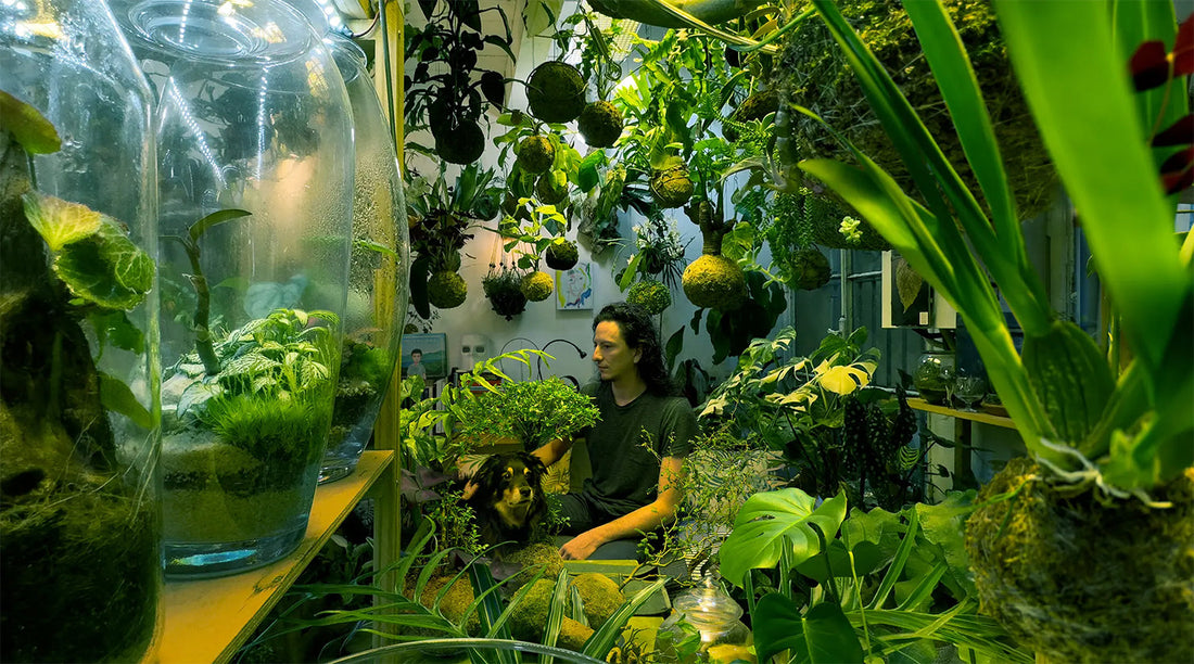 Annie Leibovitz x IKEA LIFE AT HOME