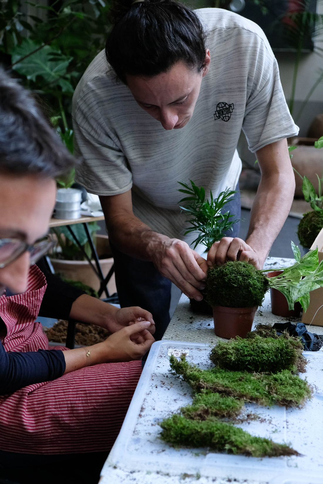 Workshop botanico aziendale