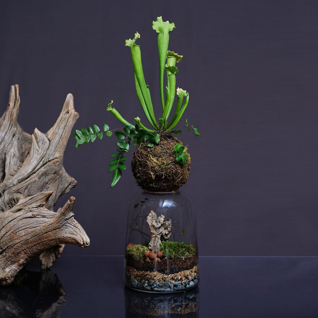 Cos'è il Kokedama e come si cura